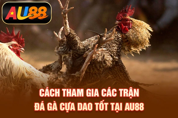 Cách tham gia các trận đá gà cựa dao tốt tại AU88