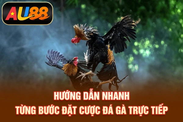 Hướng dẫn nhanh từng bước đặt cược đá gà trực tiếp