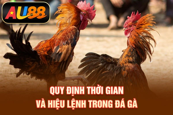 Quy định thời gian và hiệu lệnh trong đá gà
